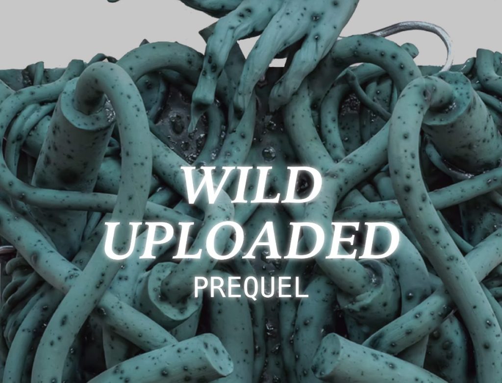 WILD UPLOADED, Prequel