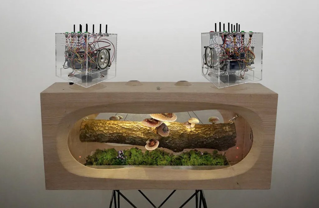 Santiago Morilla — Ritual Device for the Cultivation of Mushroom Humus&nbsp;(2025)